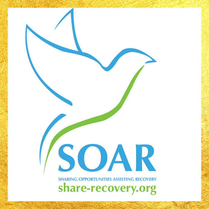 SOAR - Sharing Opportunities Assisting Recovery
